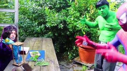 SPIDERHULK Vs JOKERHULK! Frozen Elsa KIDNAPPED? w/ Spiderman Hulk & Joker! Superhero fun