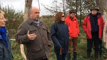 La biodiversité dans les marais de la Dives