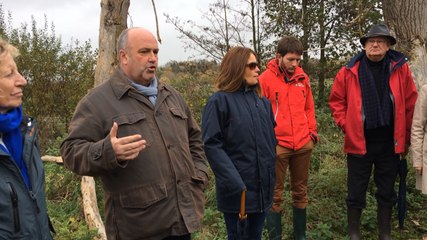 La biodiversité dans les marais de la Dives