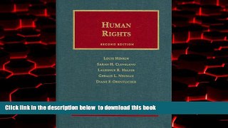 liberty book  Human Rights (University Casebook Series) online