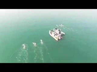 Dead Sea Swimmers Highlight Environmental Damage