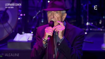 Alcaline, La chanson de fin du 15/11 "I'm your Man" de Leonard Cohen