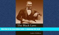 liberty book  The Black Laws: Race and the Legal Process in Early Ohio (Law Society   Politics in