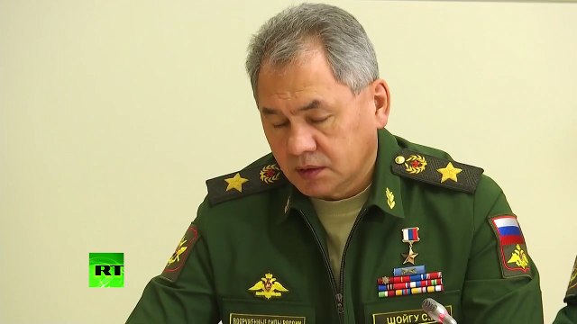 Новое заявление Шойгу по Сирии