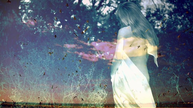 L'Envol Photographies Eric Blanc / Galerie 13 Montpellier