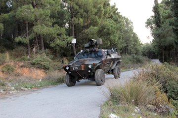 İstanbul'daki ormanlık alanda operasyon