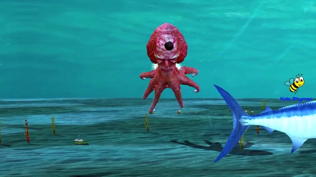 Sea Animals Finger Family Children Nursery Rhymes Whales Sharks | Dolphin Octopus Finger Family