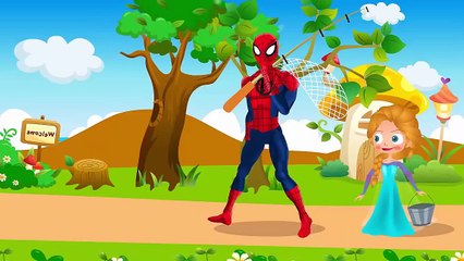 Spiderman Vs Doctor Spiderman Got Hurt Nail In Foot Frozen Elsa