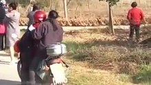 Un peloton composé de 20 000 canards bloquent la circulation