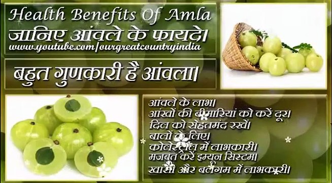 Amla | Top 10 Benefits of Amla in Hindi | आमला के फायदे | Benefits of Gooseberry