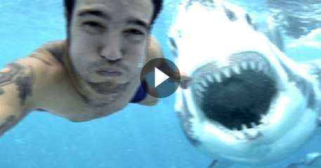 Shark Attack Caught On Video 2016 | dangerous shark attack