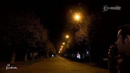 La Roche-sur-Yon : L'effarouchement des étourneaux reprend