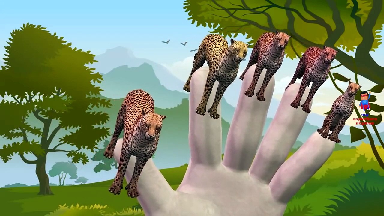 Finger Family Cheetah Cartoon Rhyme for Children | Finger Family Nursery Song for Babies