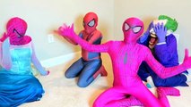 Spiderman Haunted Spiderman vs Joker vs Pink Spidergirl vs Frozen Elsa Funny Superheroes