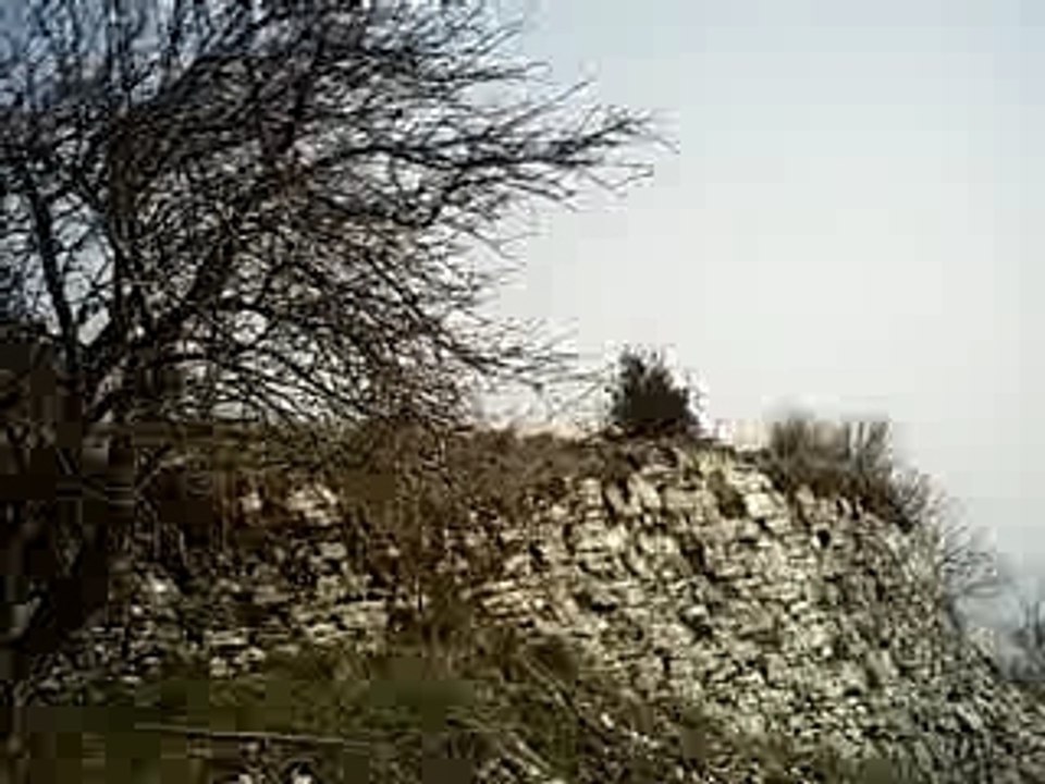 freeride......caina