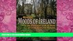 Big Deals  Mystical Moods of Ireland, Vol. IV: In the Footsteps of W. B. Yeats at Coole Park and