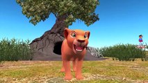 3D Rhymes Lion King Cartoons for Children | Animals Lion Animation Rhymes