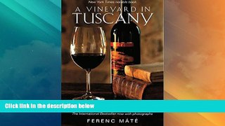 Big Deals  A Vineyard in Tuscany: Illustrated Edition  Best Seller Books Best Seller