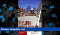 Big Deals  Guide with Reconstructions Pompeii - Herculaneum Past and Present With Reconstructions