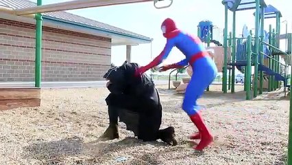 Spiderman vs Batman - Real Life Superhero Battle! Death Match