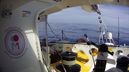 Calme plat et petite baignade pour Kito de Pavant / Vendée Globe