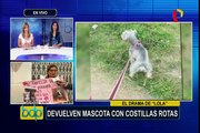 San Miguel: familia denuncia presunto maltrato animal en veterinaria
