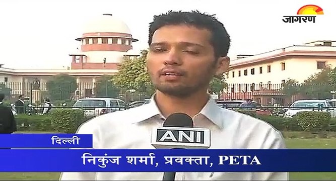 सुप्रीम कोर्ट ने जलीकट्टू पर पुनर्विचार याचिका को किया खारिज