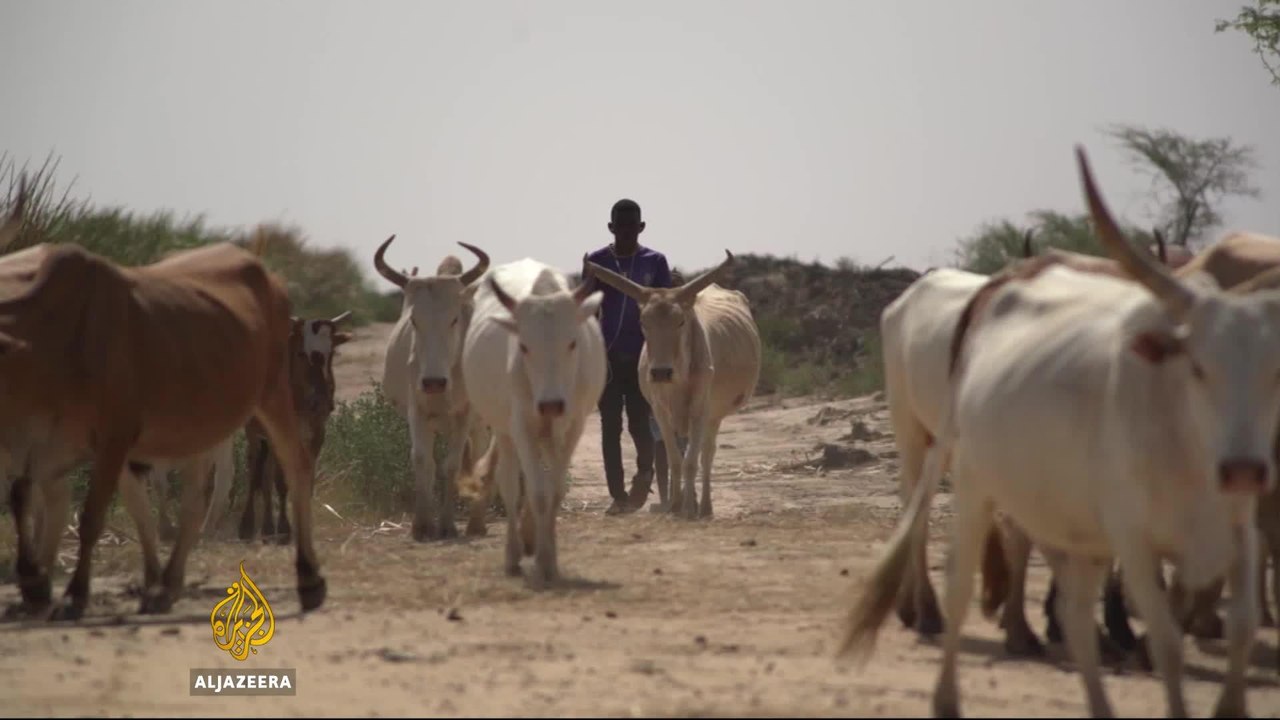 Protecting Senegal's Green Wall