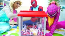 Spiderman congelés Elsa Beck Compléments alimentaires BÉBÉS Mac Fignt VS Superman rose Spidergirl