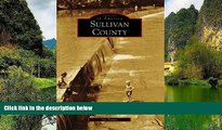 Big Sales  Sullivan County (Images of America: Tennessee)  Premium Ebooks Best Seller in USA