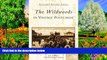 Big Sales  The  Wildwoods  in  Vintage  Postcards  (NJ)   (Postcard  History  Series)  Premium