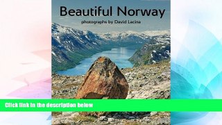 Must Have PDF  Beautiful Norway  Free Full Read Best Seller