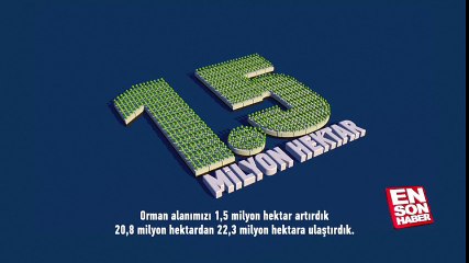 Son 13 yılın ağaçlandırma çalışmaları