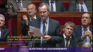 Question au Gouvernement de Stéphane Demilly sur l'action diplomatique européenne (16/11/2016)