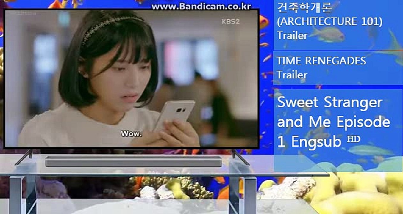 どど토토솔루션でで솔루션소스 올자동 카톡haricuty스카이프haricuty