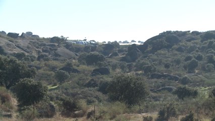 Juego de Tronos llega a Malpartida de Cáceres