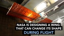 NASA Designs Ultra light Wings That Change Shape During Flight