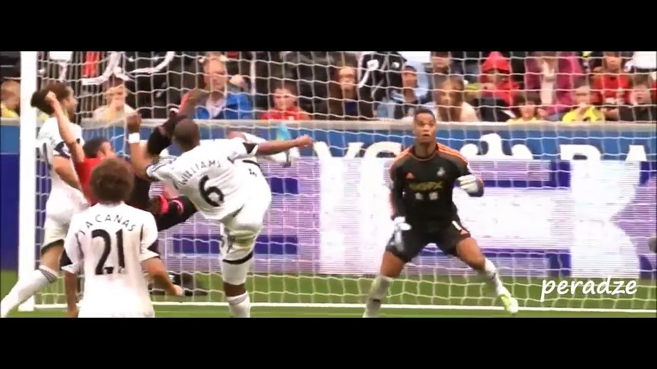 Robin van Persie ● Top 10 Goals ● Top 10 Skills