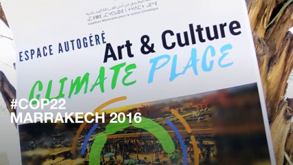COP22 : les raisons de la colère