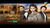 Saya e Dewar Bhi Nahi Episode 15 Promo HD HUM TV Drama 16 November 2016