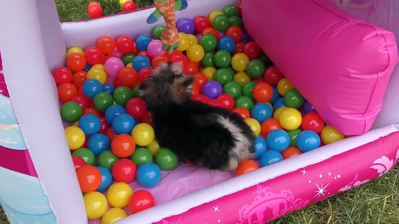 Princesa Zumi en una Piscina con  250 Bolas de Colores ❤ Juguetes para Cachorritos Disney Princesas