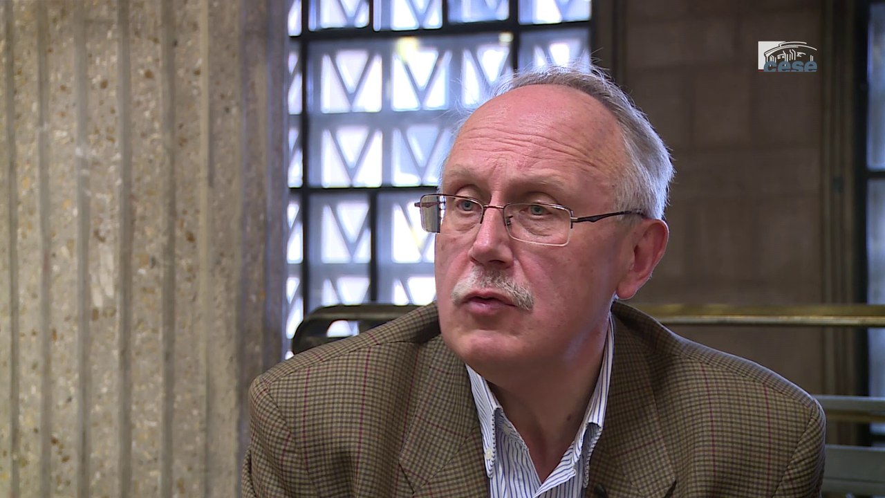 Questions à Luc ROUBAN (CNRS) - Fonction publique,- cese