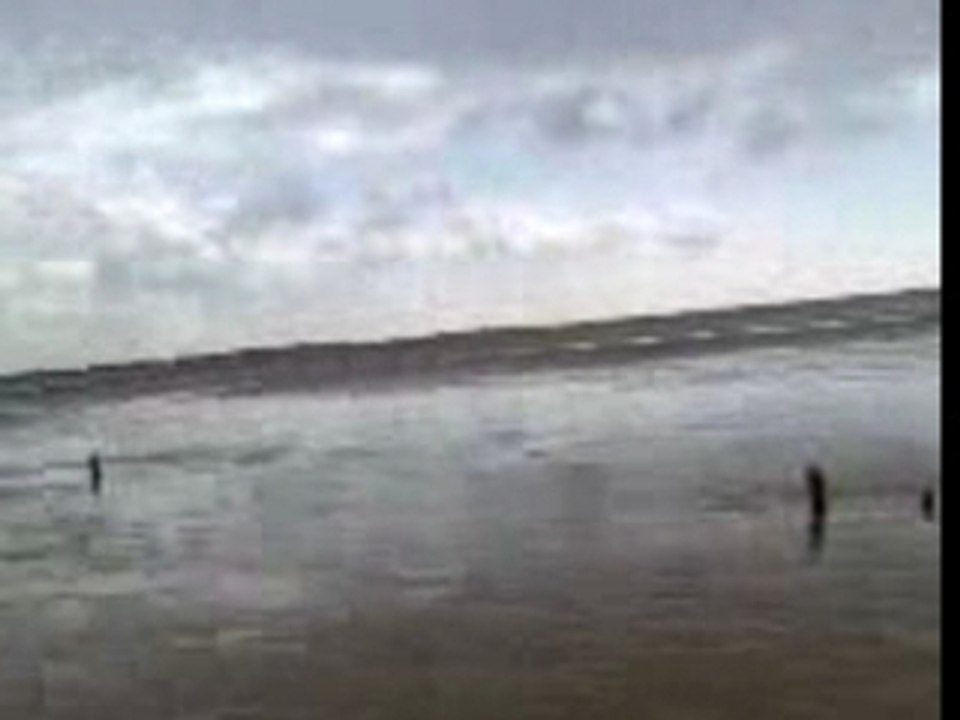 Oyeplage ballade avec les chiens