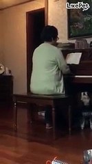 피아노 반주에 맞춰 노래하는 강아지