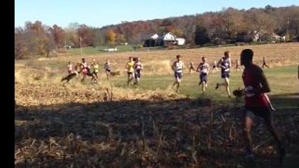 Chevreuil vs Coureur de cross-country