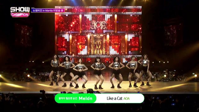 쇼 챔피언/show champion #207_ AOA - Like a Cat