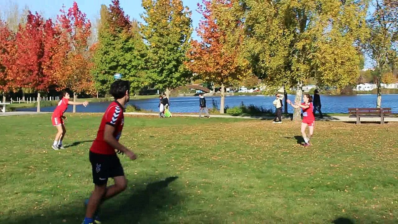 Concours FLASHMOB UNSS Championnat du monde de HANDBALL 2017 - AS "Les Muguets" du Lycée Louis Audouin Dubreuil (17)