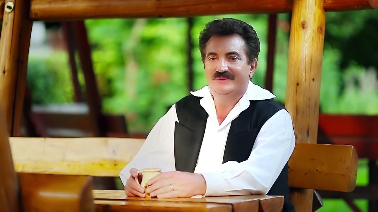 Petrica Mitu Stoian   Melodii de petrecere