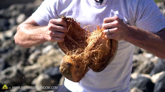 Apprenez à découper une noix de coco sans outils !