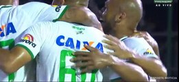 Botafogo vs  Chapecoense  kempes Goal - Botafogo X Chapecoense Gol de kempes 35ª Rodada do Brasileirão 16-11-2016 (HD)